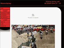 Tablet Screenshot of diversespring.com